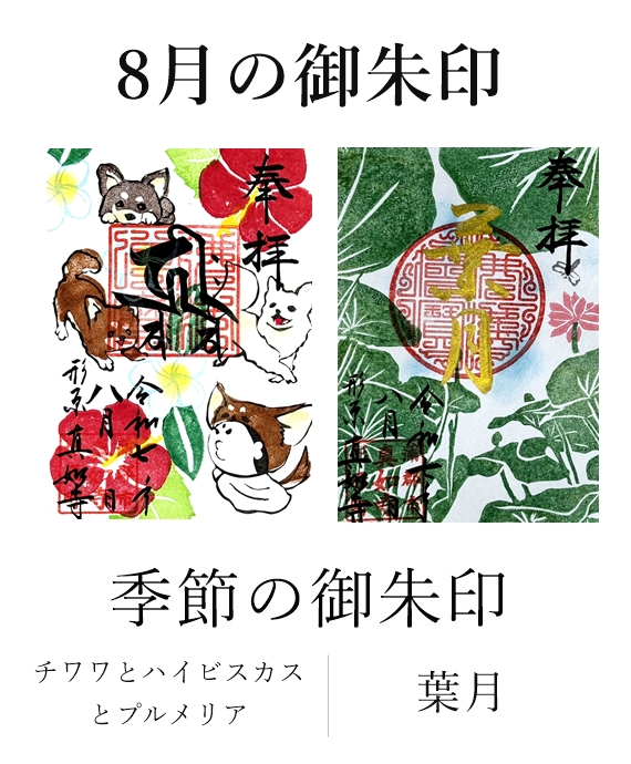 真如寺月替わり御朱印