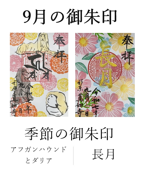 真如寺月替わり御朱印