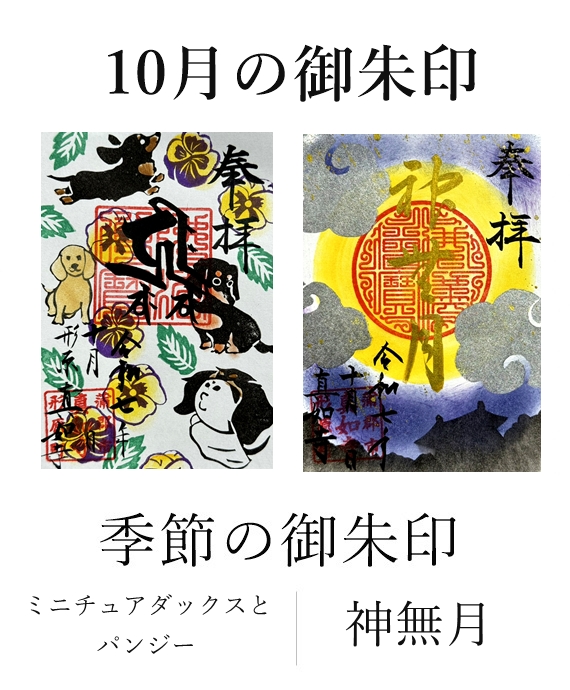 真如寺月替わり御朱印